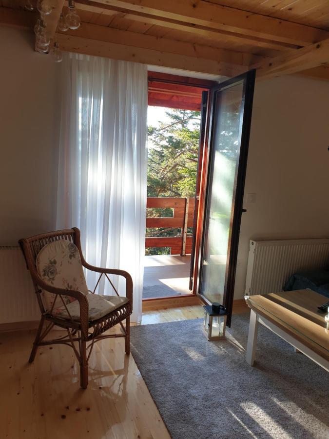 Villa Sumske Price Divčibare Extérieur photo
